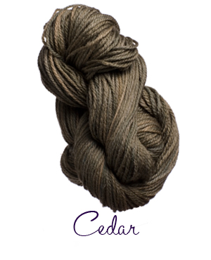 cedar